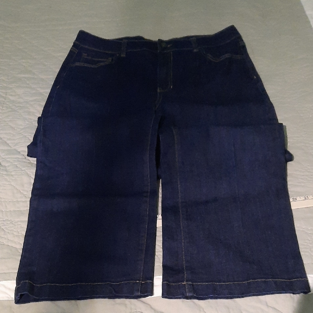 Rachel Zoe Indigo Denim Pants